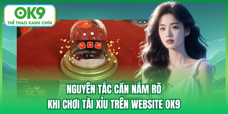 Nguyên tắc cần nắm rõ khi chơi Tài Xỉu trên website OK9